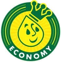 economy package icon