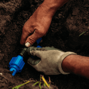 installing irrigation system