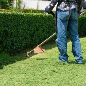 professional weed whacker for commercial property